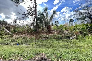 5145 Callaway St, Port Charlotte, FL 33981 - Photo 1