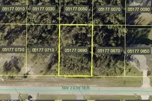 4235 NW 24th Terrace, Cape Coral, FL 33993 - Photo 1