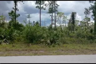 916 Monroe Ave, Lehigh Acres, FL 33972 - Photo 1