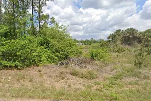 320 Selkirk Ave, Lehigh Acres, FL 33974 - Photo 1