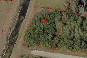 3818 34th St SW, Lehigh Acres, FL 33976 - Photo 1