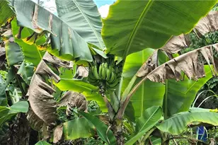 2011 Leroy Ave, Alva, FL 33920 - Photo 20