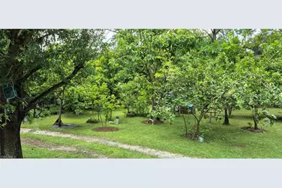 2011 Leroy Ave, Alva, FL 33920 - Photo 26