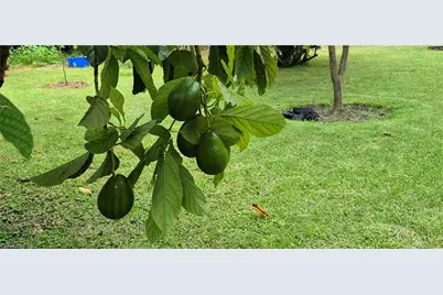 2011 Leroy Ave, Alva, FL 33920 - Photo 22