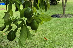 2011 Leroy Ave, Alva, FL 33920 - Photo 22