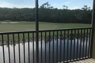 10317 Heritage Bay Blvd, Naples, FL 34120 - Photo 10