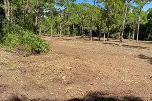 8746 Nome Ct, Saint James City, FL 33956 - Photo 1