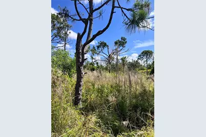 8746 Nome Ct, Saint James City, FL 33956 - Photo 8