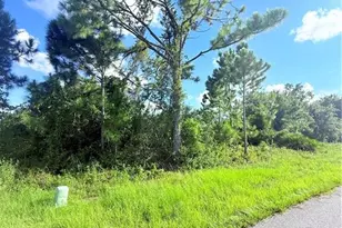 12325 Edwards Rd, Port Charlotte, FL 33981 - Photo 1