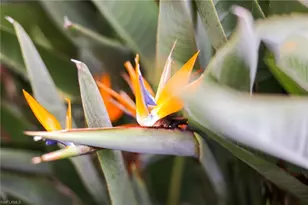 1771 Coral Way, North Fort Myers, FL 33917 - Photo 48