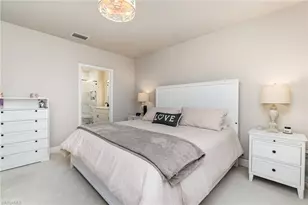 20498 Plumwood Loop, North Fort Myers, FL 33917 - Photo 12