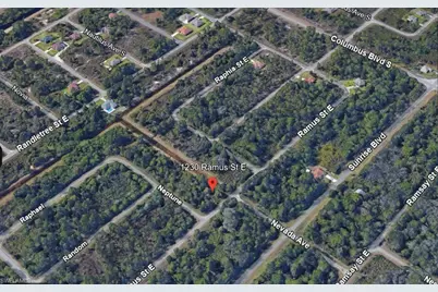 1230 Ramus St E, Lehigh Acres, FL 33974 - Photo 4