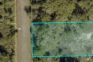 322 Monroe Ave, Lehigh Acres, FL 33936 - Photo 1