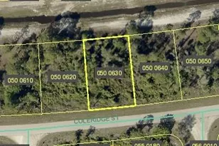 1031 Coleridge St, Lehigh Acres, FL 33974 - Photo 1