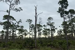 2301 SW 38th Terrace, Cape Coral, FL 33914 - Photo 26