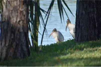 13779 Golden Palms Cir, Fort Myers, FL 33913 - Photo 18
