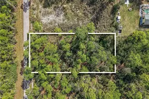 2017 Grant Ave, Alva, FL 33920 - Photo 1