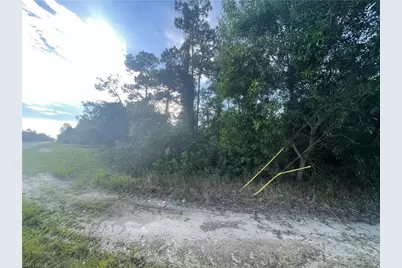 1804 Dewitt Ave N, Lehigh Acres, FL 33971 - Photo 2