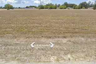 1618 NE Juanita Pl, Cape Coral, FL 33909 - Photo 1
