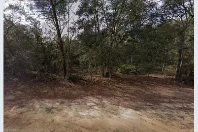 917 David Ave, Interlachen, FL 32148 - Photo 2