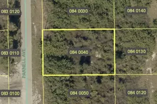 425 Parnell Ave, Lehigh Acres, FL 33974 - Photo 1