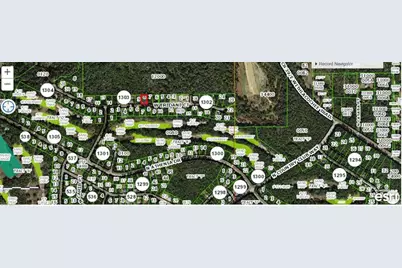 303 W Eridani Ct, Citrus Springs, FL 34494 - Photo 4