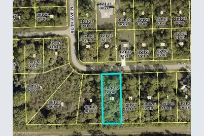 3219 47th St W, Lehigh Acres, FL 33971 - Photo 1
