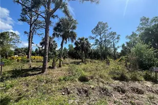 26219 Flower Rd, Punta Gorda, FL 33955 - Photo 1