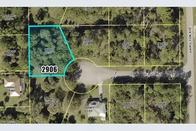 2906 Beluga St, Lehigh Acres, FL 33972 - Photo 1