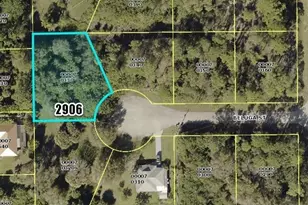 2906 Beluga St, Lehigh Acres, FL 33972 - Photo 1