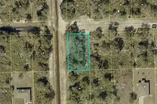 2527 72nd St W, Lehigh Acres, FL 33971 - Photo 1