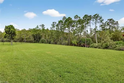 10168 Mimosa Silk Dr, Fort Myers, FL 33913 - Photo 38