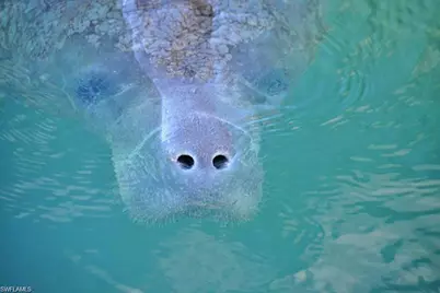 3100 Cottonwood Bend #1902, Fort Myers, FL 33905 - Photo 22