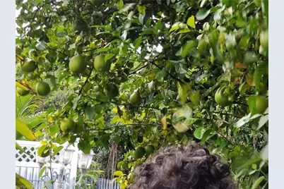 1370 Harbor View Dr, North Fort Myers, FL 33917 - Photo 46