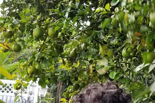 1370 Harbor View Dr, North Fort Myers, FL 33917 - Photo 46