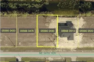 1007 NE 34th Terrace, Cape Coral, FL 33909 - Photo 1