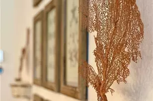 572 11th Ave S, Naples, FL 34102 - Photo 10