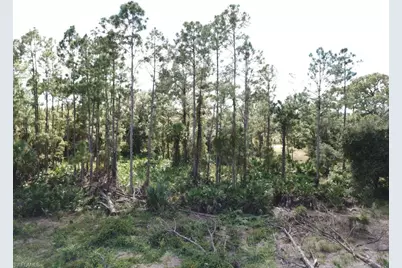 605 Broadway Ave, Lehigh Acres, FL 33972 - Photo 4