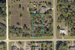 287 Avenida Del Sur, Clewiston, FL 33440 - Photo 1