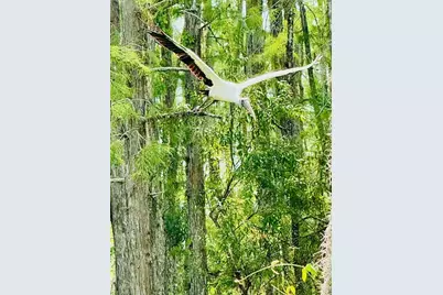 10483 Materita Dr, Fort Myers, FL 33913 - Photo 32