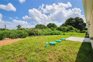 23031 Roundtree Ave, Alva, FL 33920 - Photo 20