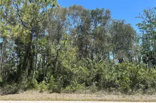 665 Knapp St, Lehigh Acres, FL 33974 - Photo 1