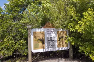 3111 Cottonwood Bend, Fort Myers, FL 33905 - Photo 44