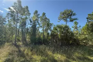 2402 East 10th Street, Lehigh Acres, FL 33936 - Photo 1