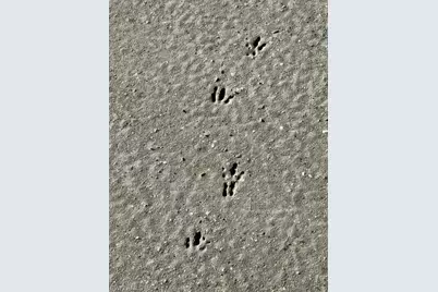 5209 Western Dr, Saint James City, FL 33956 - Photo 20