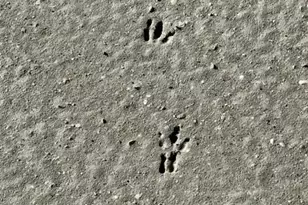 5209 Western Dr, Saint James City, FL 33956 - Photo 20