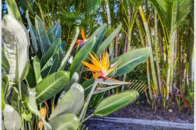 1928 SE 20th Ln, Cape Coral, FL 33990 - Photo 40