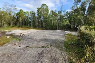 12109 Platano Dr, Punta Gorda, FL 33955 - Photo 36