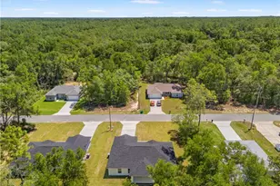 8782 N Sandee Dr, Citrus Springs, FL 34434 - Photo 10