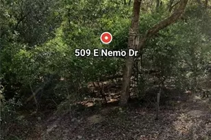 509 E Nemo Dr, Citrus Springs, FL 34434 - Photo 1